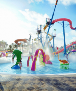 Tour khám phá bắc đảo Vinpearl Land & safari