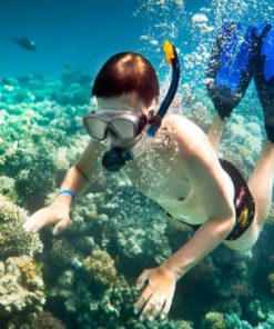 Tour câu cá và lặn ngắm san hô Bắc Đảo